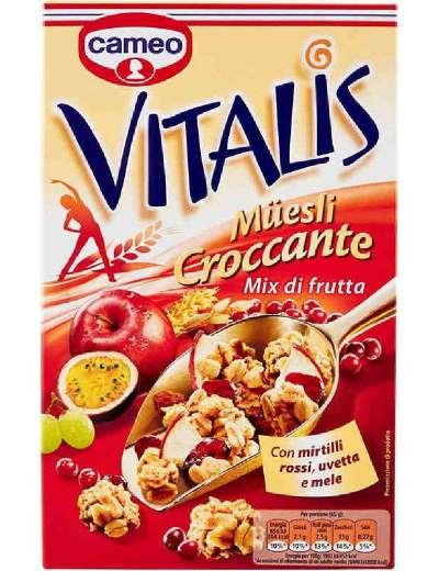 CAMEO VITALIS FRUTTA MISTA GR 300