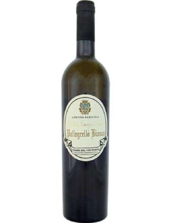 VESTINI CAMPAGNANO PALLAGRELLO BIANCO CL 75