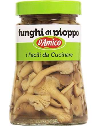 D'AMICO FUNGHI PIOPPO GR 470