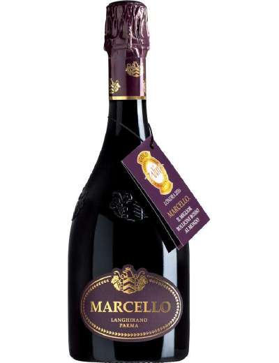 ARIOLA PARTY EDITION MARCELLO CL 75