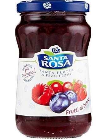 SANTA ROSA FRUTTI DI BOSCO DELIZIE CONFETTURA VETRO GR 350