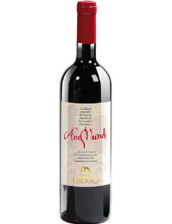 TELARO ARAMUNDI AGLIANICO DOC CL 75