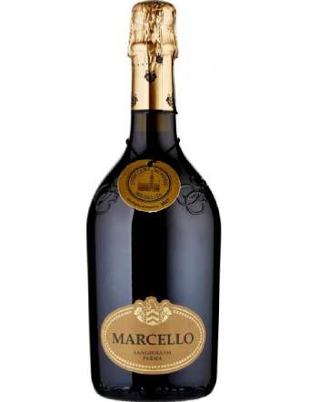 ARIOLA LAMBRUSCO MARCELLO ETICHETTA ORO CL 75