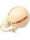 AURICCHIO CACIOCAVALLO KG 1