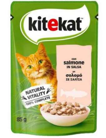 KITEKAT SALMONE IN SALSA BUSTA GR 85