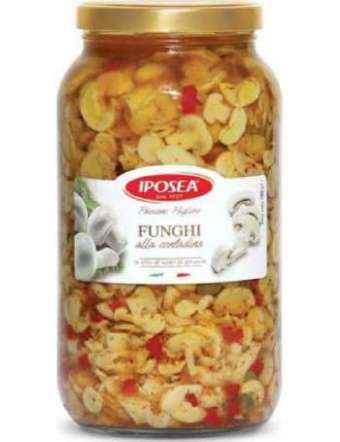 IPOSEA FUNGHI CONTADINA VETRO GR 1600