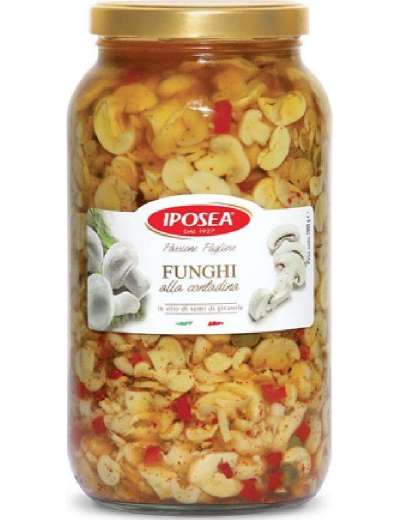 IPOSEA FUNGHI CONTADINA VETRO GR 1600