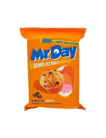 MR DAY MUFFIN CLASSICO SENZA LATTOSIO GR 300