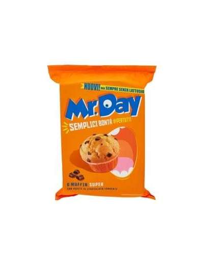MR DAY MUFFIN CLASSICO SENZA LATTOSIO GR 300