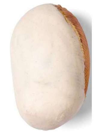 MONTEVECCHIO BELSAVIGNO CULATTA CON COTENNA KG 5