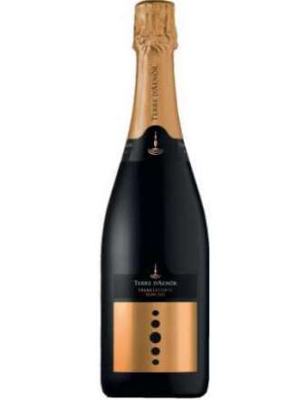 TERRE D'AENOR FRANCIACORTA DEMI SEC CL 75