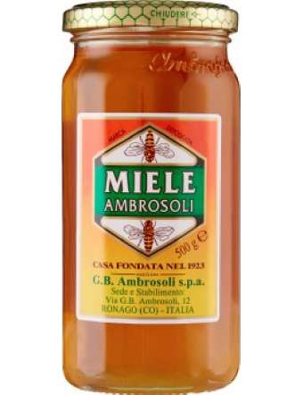 AMBROSOLI MIELE VETRO GR 500