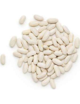 MONDIAL FAGIOLI CANNELLINI BUSTA KG 5