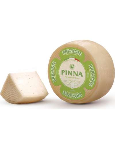 PINNA BRIGANTE DI CAPRA KG 2
