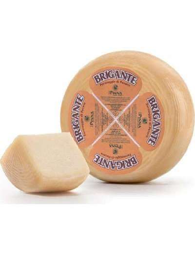 PINNA BRIGANTE II CACIOTTA KG 1,5
